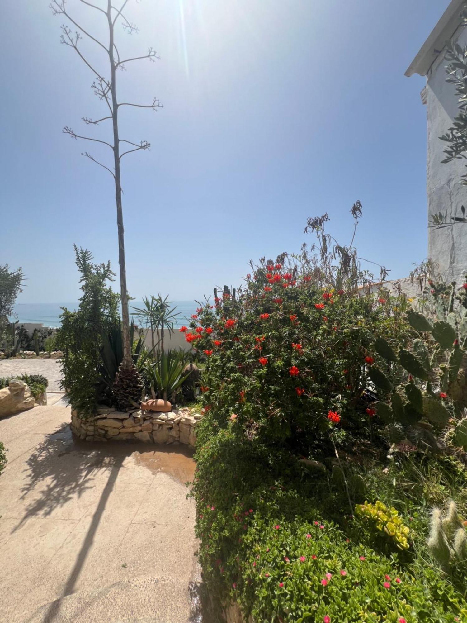 Villa Jardin De L'Ocean 奥瑞尔 外观 照片