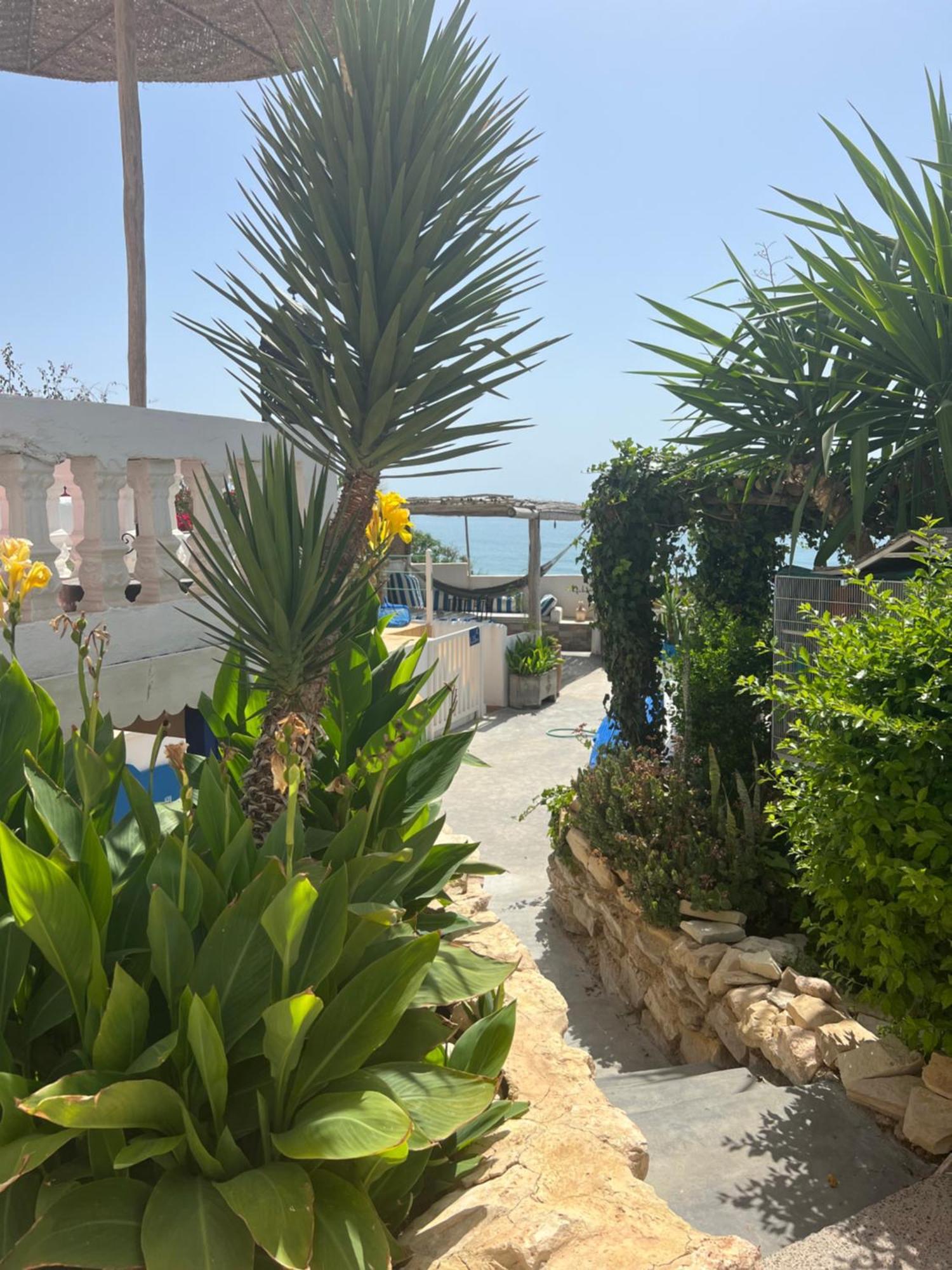 Villa Jardin De L'Ocean 奥瑞尔 外观 照片